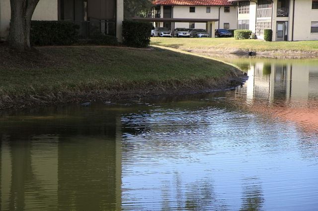 704 HAMMOCK PINE BOULEVARD 704, Clearwater, FL 33761