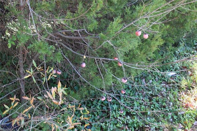 0 3rd Creek Road, Statesville, NC 28677