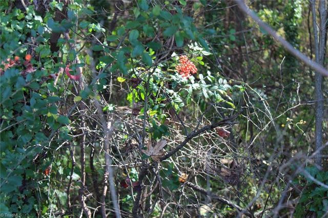 0 3rd Creek Road, Statesville, NC 28677