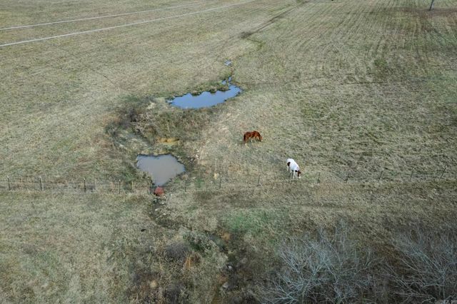 2356 Fendley Rd Road, Bismarck, AR 71929