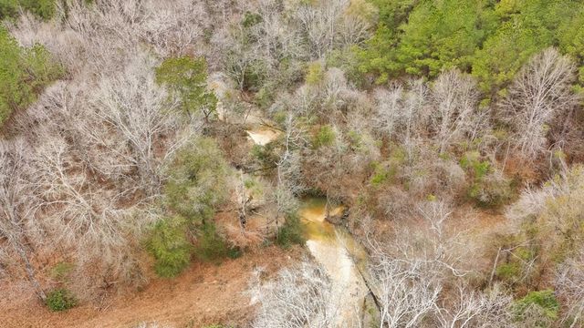 00 Steel Creek Road, Georgetown, MS 39078