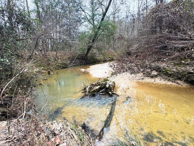 00 Steel Creek Road, Georgetown, MS 39078