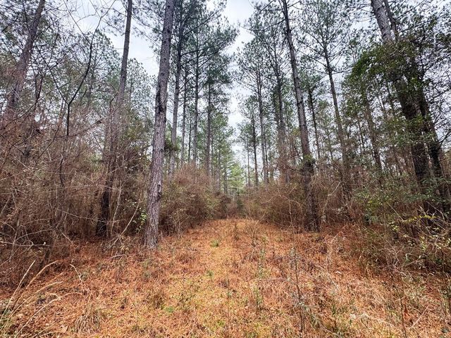 00 Steel Creek Road, Georgetown, MS 39078