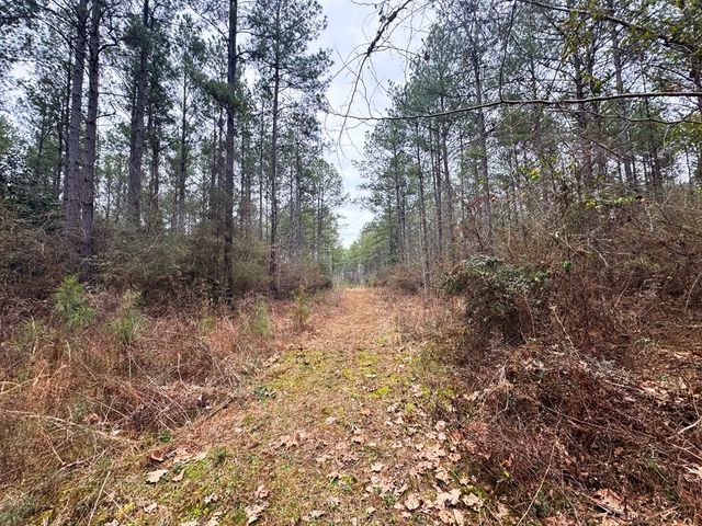 00 Steel Creek Road, Georgetown, MS 39078