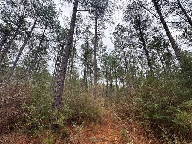 00 Steel Creek Road, Georgetown, MS 39078