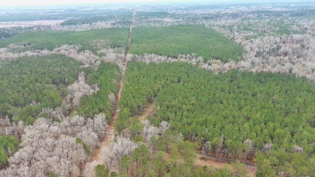 00 Steel Creek Road, Georgetown, MS 39078