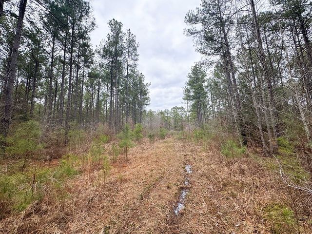00 Steel Creek Road, Georgetown, MS 39078
