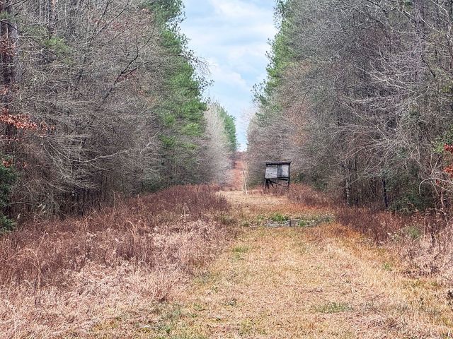 00 Steel Creek Road, Georgetown, MS 39078