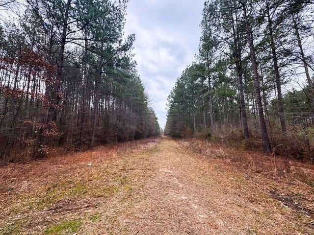 00 Steel Creek Road, Georgetown, MS 39078