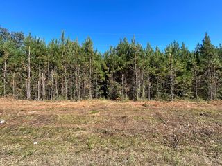 Lot 10, 6.1+-ac Willie Varnum Rd, Cottonwood, AL 36320