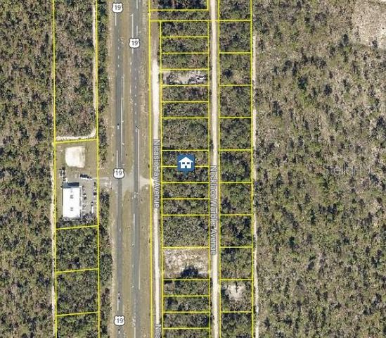 LOT 14 NECKLACE WARBLER, Weeki Wachee, FL 34614