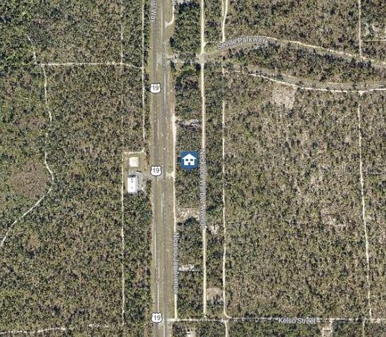 LOT 14 NECKLACE WARBLER, Weeki Wachee, FL 34614