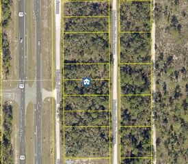 LOT 14 NECKLACE WARBLER, Weeki Wachee, FL 34614