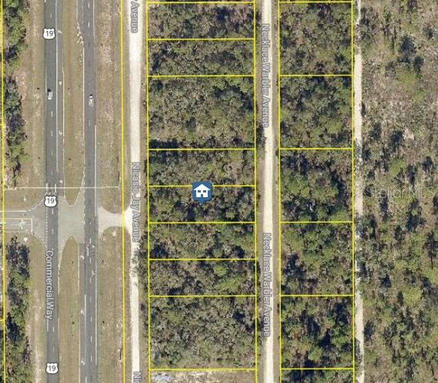 LOT 14 NECKLACE WARBLER, Weeki Wachee, FL 34614