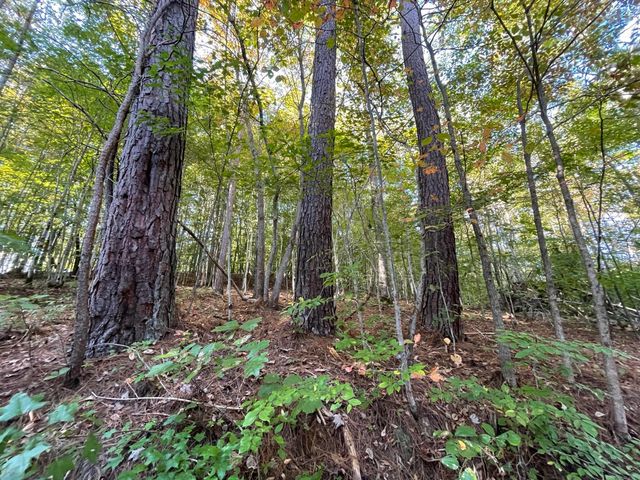 462 Lake View Drive, Barbourville, KY 40906