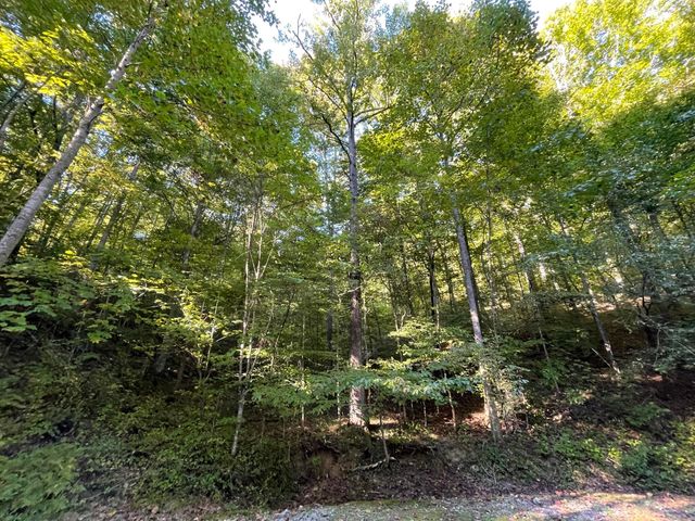 462 Lake View Drive, Barbourville, KY 40906