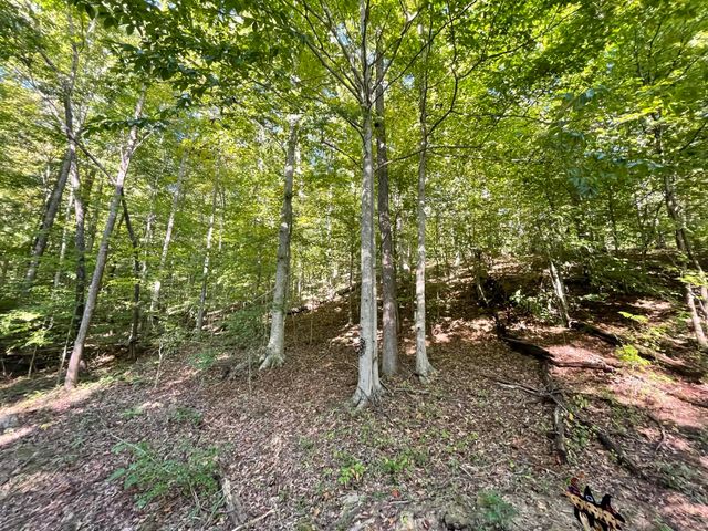 462 Lake View Drive, Barbourville, KY 40906