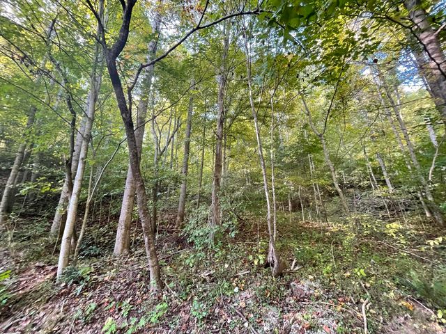 462 Lake View Drive, Barbourville, KY 40906