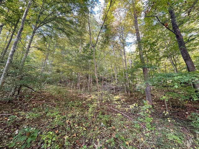 462 Lake View Drive, Barbourville, KY 40906