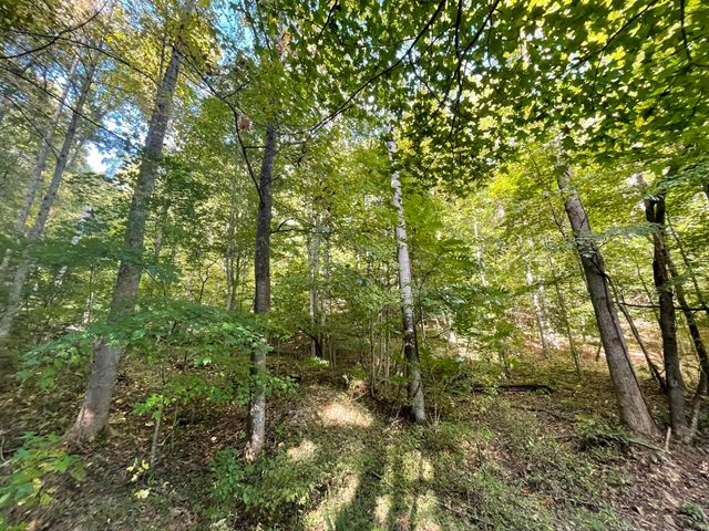 462 Lake View Drive, Barbourville, KY 40906