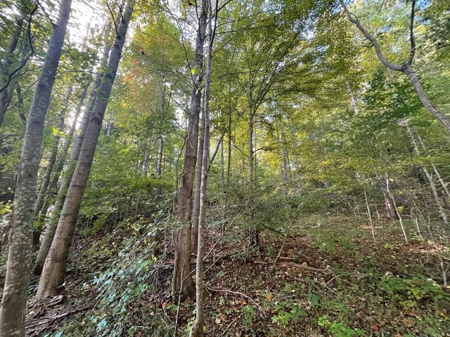 462 Lake View Drive, Barbourville, KY 40906