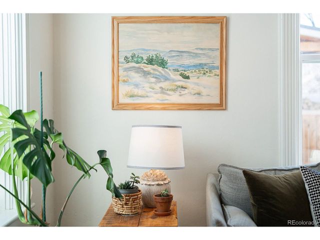 304 S Colorado Ave, Buena Vista, CO 81211