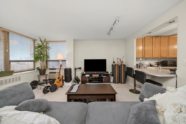 1460 N SANDBURG Terrace 705, Chicago, IL 60610