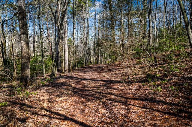 Tract C Captains Cove, Blairsville, GA 30512