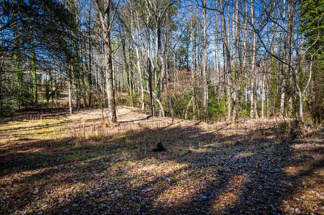 Tract C Captains Cove, Blairsville, GA 30512