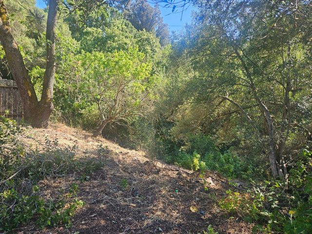 1527 Pleasant Hill Road, Lafayette, CA 94549