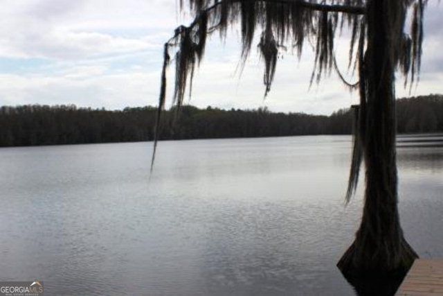 5231 Paw Paw Lane, Lake Park, GA 31636