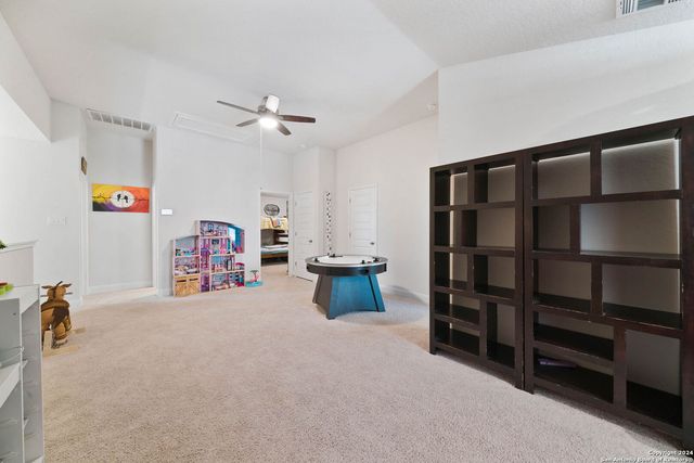 4827 NIGHT HERDER, St Hedwig, TX 78152