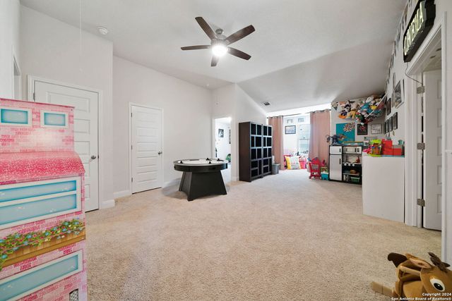 4827 NIGHT HERDER, St Hedwig, TX 78152