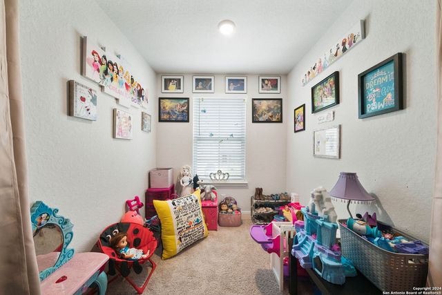 4827 NIGHT HERDER, St Hedwig, TX 78152