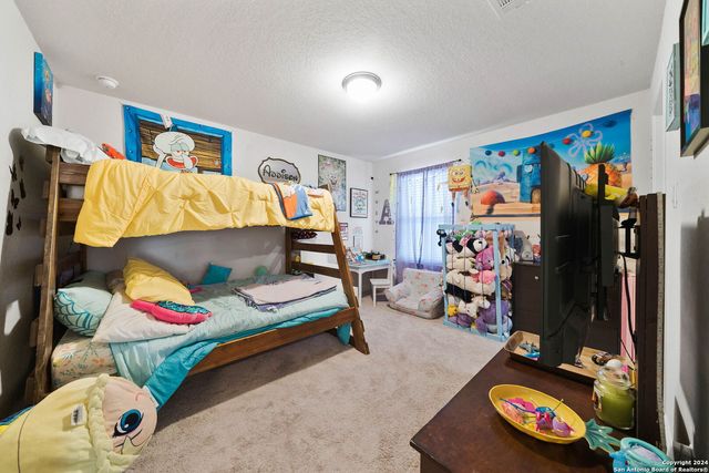 4827 NIGHT HERDER, St Hedwig, TX 78152