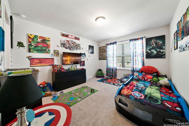 4827 NIGHT HERDER, St Hedwig, TX 78152