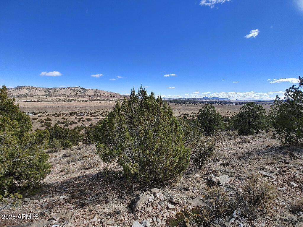 Image 2 of property listing at 54870 N PAINTBRUSH Lane 798, Seligman, AZ 86337