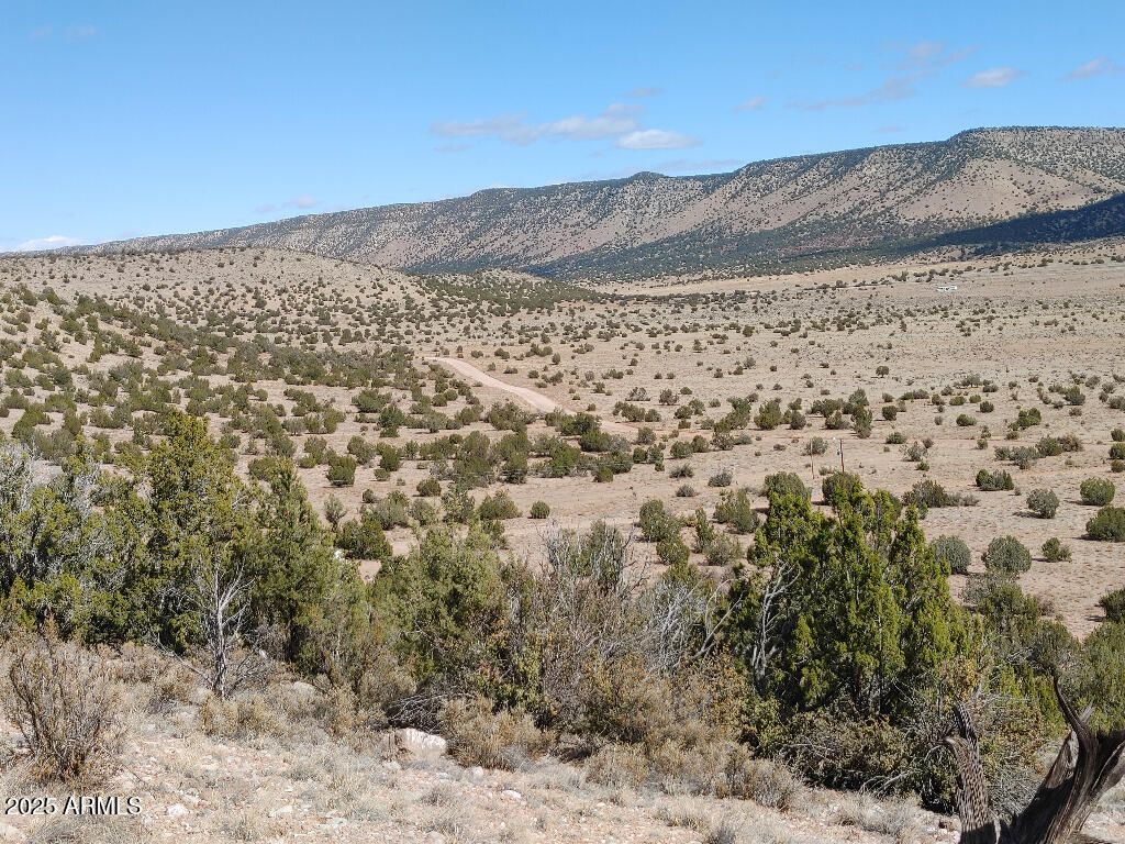 Image 3 of property listing at 54870 N PAINTBRUSH Lane 798, Seligman, AZ 86337