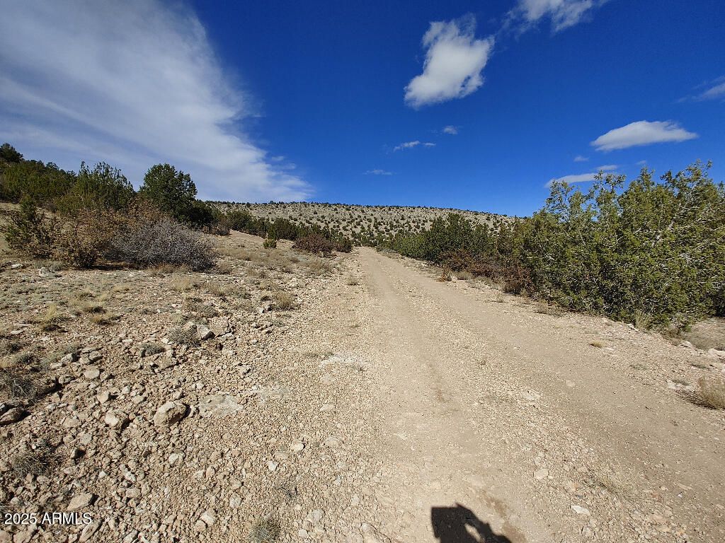 Image 5 of property listing at 54870 N PAINTBRUSH Lane 798, Seligman, AZ 86337