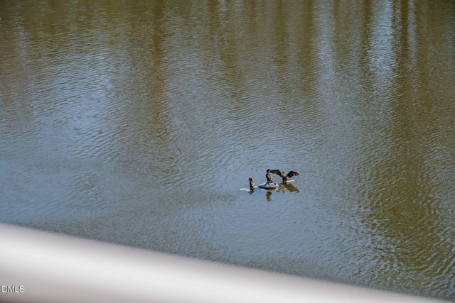 10511 Rosegate Court 305, Raleigh, NC 27617