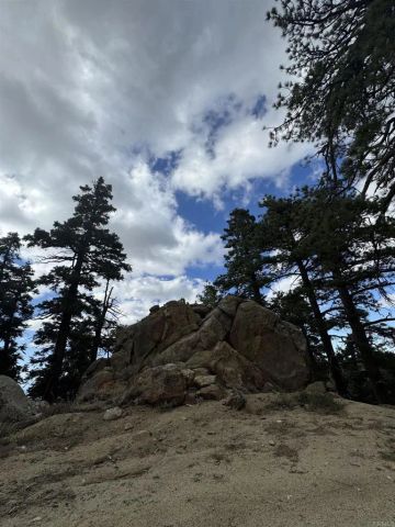 636 Mountain Center, Mountain Center, CA 92561