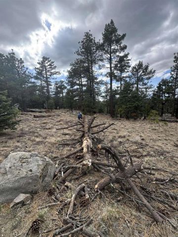 636 Mountain Center, Mountain Center, CA 92561