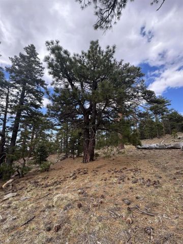 636 Mountain Center, Mountain Center, CA 92561