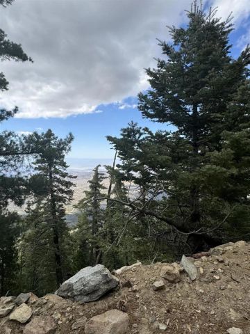 636 Mountain Center, Mountain Center, CA 92561