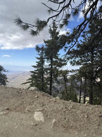 636 Mountain Center, Mountain Center, CA 92561