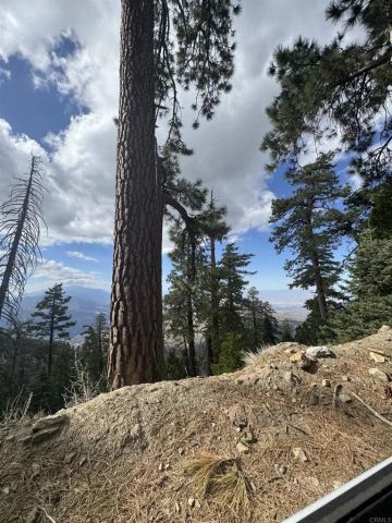 636 Mountain Center, Mountain Center, CA 92561