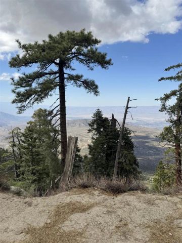 636 Mountain Center, Mountain Center, CA 92561