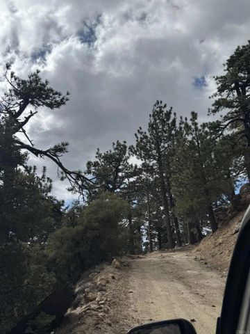 636 Mountain Center, Mountain Center, CA 92561