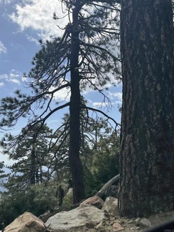 636 Mountain Center, Mountain Center, CA 92561