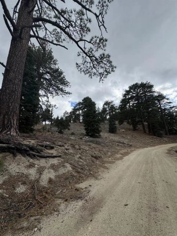 636 Mountain Center, Mountain Center, CA 92561